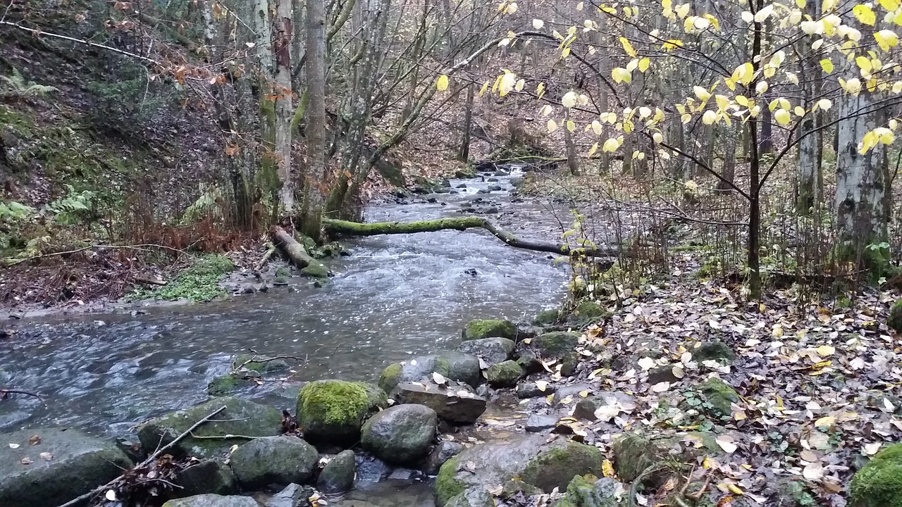 Upė, Gamta, Miškas, Ruduo, Gamtos Kraštovaizdis, Vandens Srovė, Upės Srovė, Kalnai, Vaikščioti, Parkas