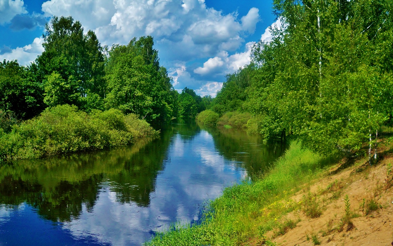 Upė, Snopot, Kaluga, Plotas, Birželis, 2012, Nemokamos Nuotraukos,  Nemokama Licenzija