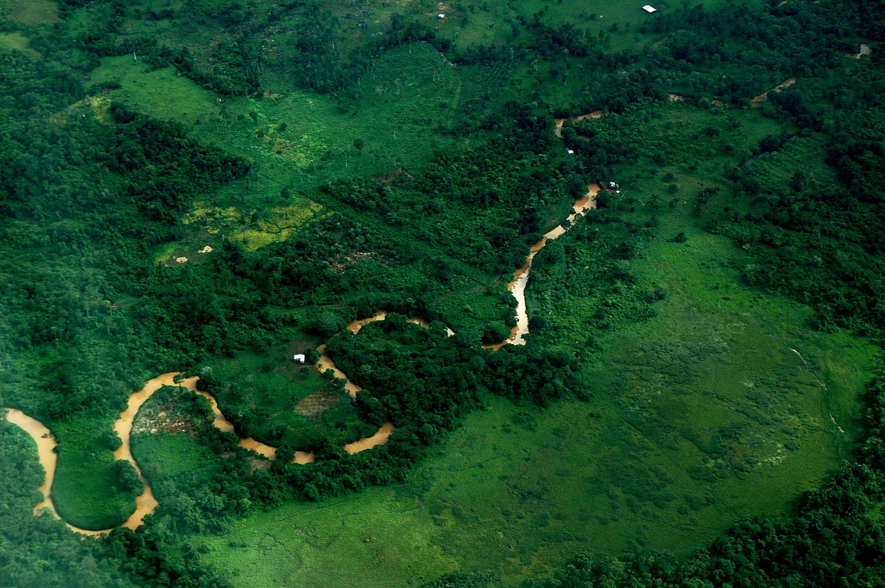 Upė, Upės Kilpa, Oro Vaizdas, Centrinė Amerika, Paukščio Skrydžio Vaizdas, Nemokamos Nuotraukos,  Nemokama Licenzija