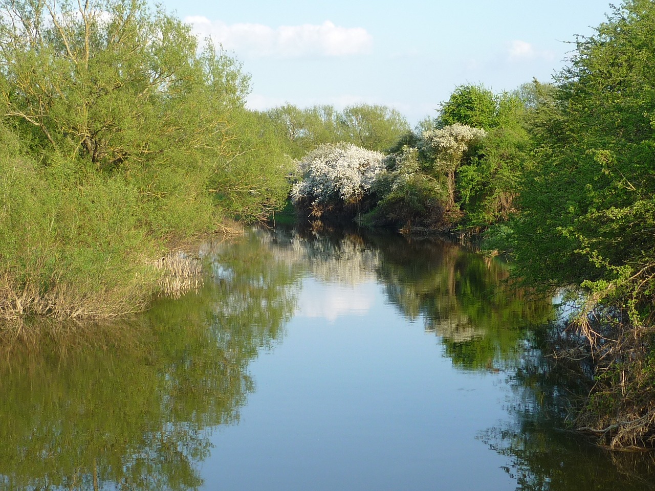 Upė Cherwell, Oxfordshire, Gamta, Atspindys, Upė, Medžiai, Nemokamos Nuotraukos,  Nemokama Licenzija