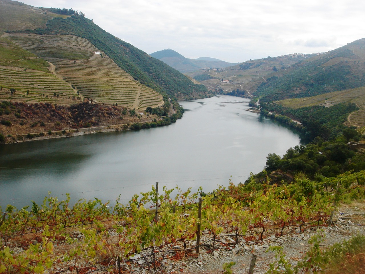 Upė Douro, Douro Vynuogynai, Douro Kraštovaizdis, Nemokamos Nuotraukos,  Nemokama Licenzija
