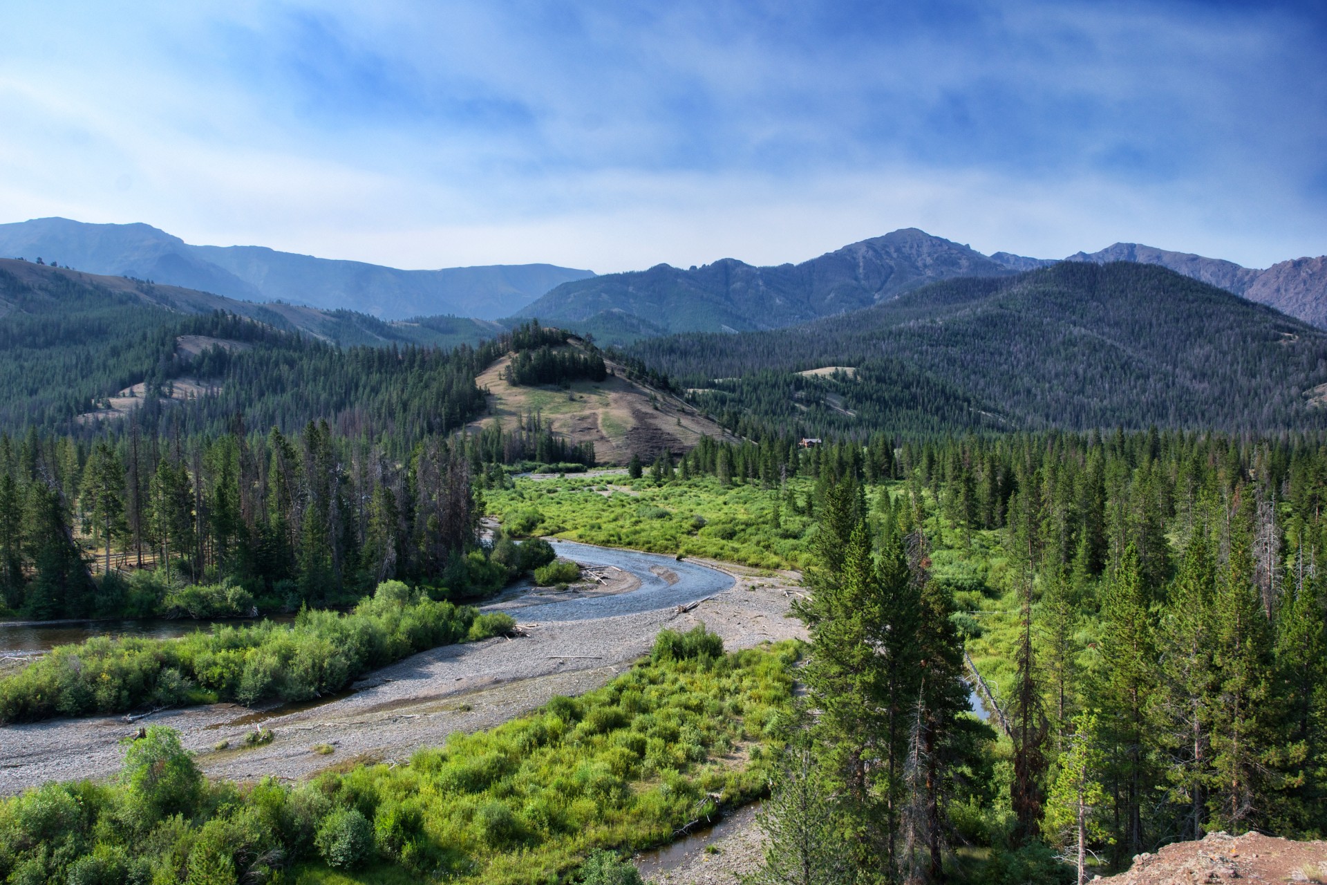 Amerikietis,  Colorado,  Upelis,  Aplinka,  Miškas,  Žalias,  Montana,  Parkas,  Parkland,  Pušis & Nbsp