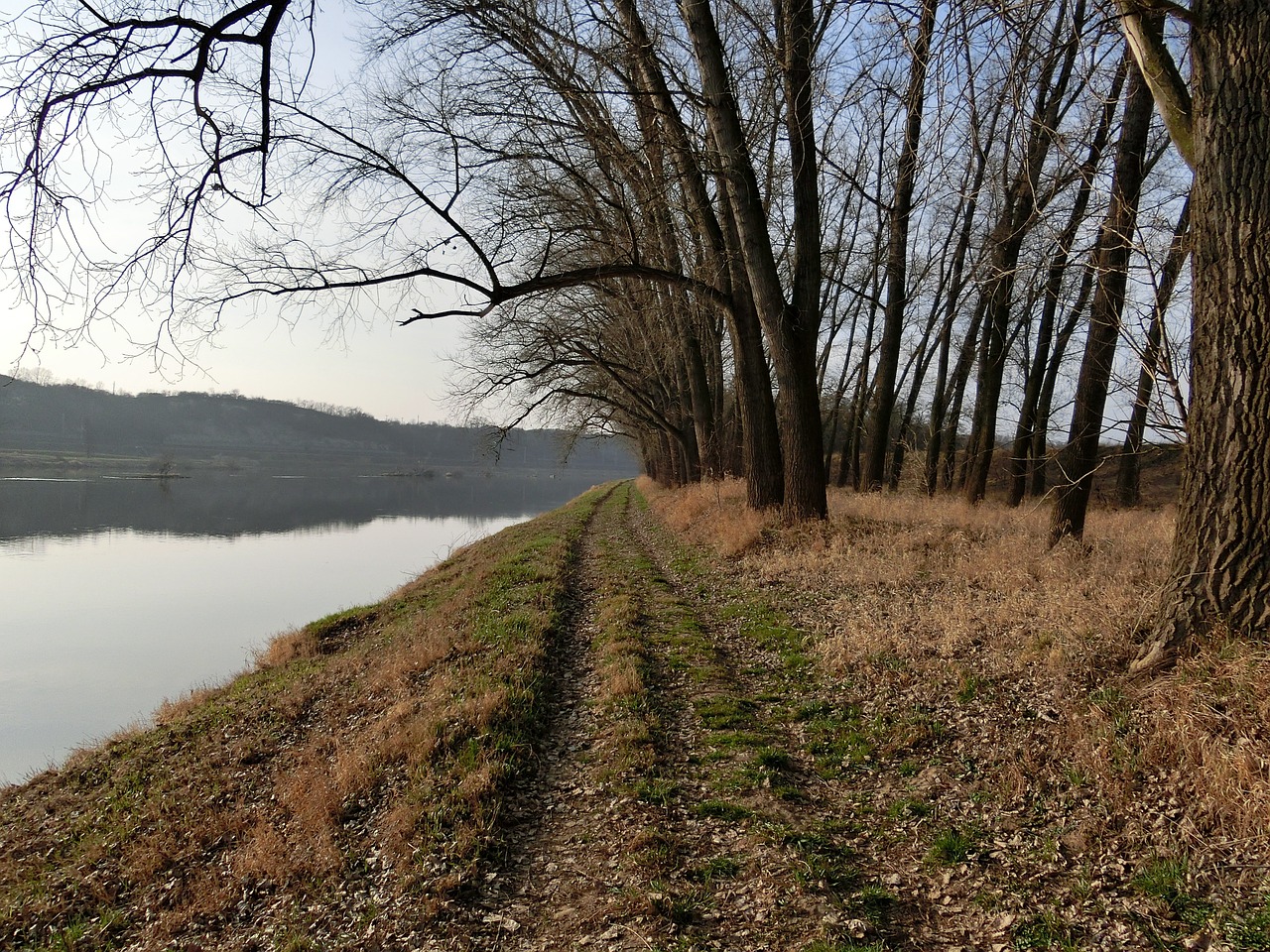 Riverside, Juostos, Toli, Vanduo, Medžiai, Ruduo, Atmosfera, Gamtos Takas, Nemokamos Nuotraukos,  Nemokama Licenzija