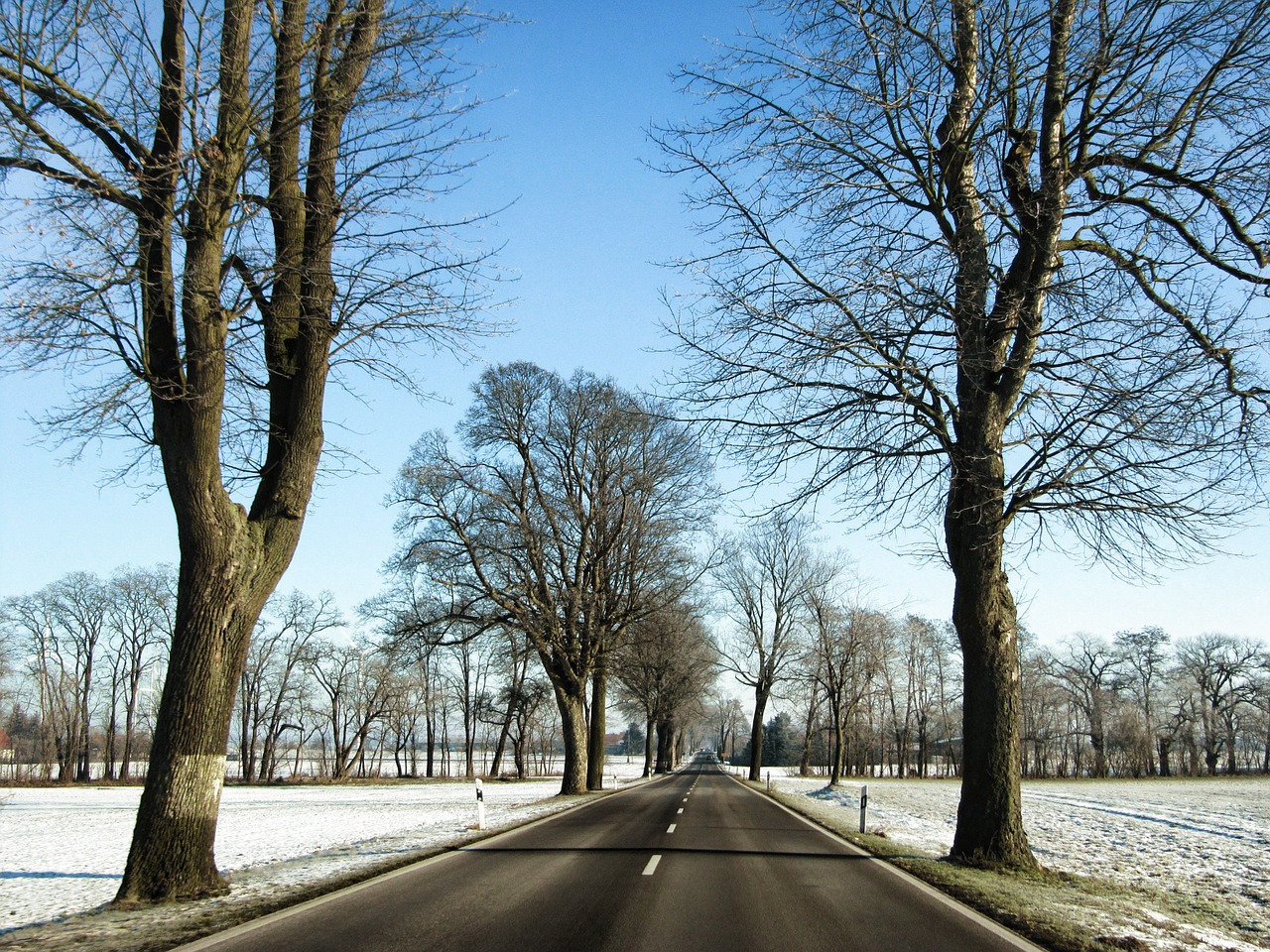 Kelias, Medžio Pamušalas, Žiema, Brandenburg, Kraštovaizdis, Sniegas, Nemokamos Nuotraukos,  Nemokama Licenzija
