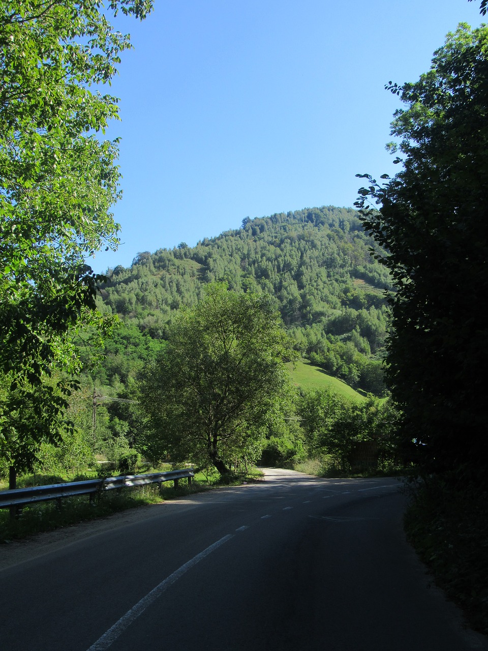 Kelias, Apuseno Kalnai, Transilvanija, Crisana, Romanija, Nemokamos Nuotraukos,  Nemokama Licenzija