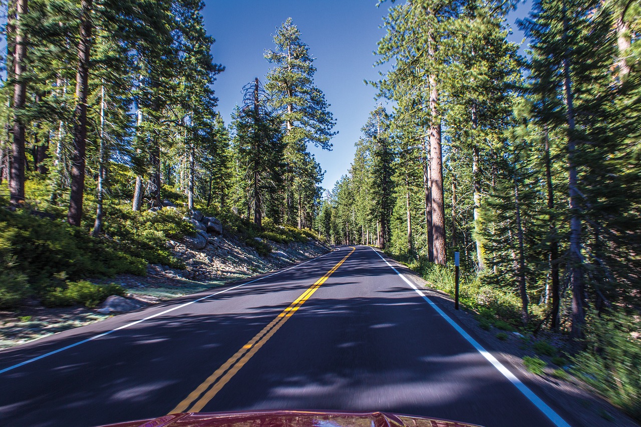 Kelias, Vairuoti, Asfaltas, Miškas, Medžiai, Tioga Pass, Nemokamos Nuotraukos,  Nemokama Licenzija