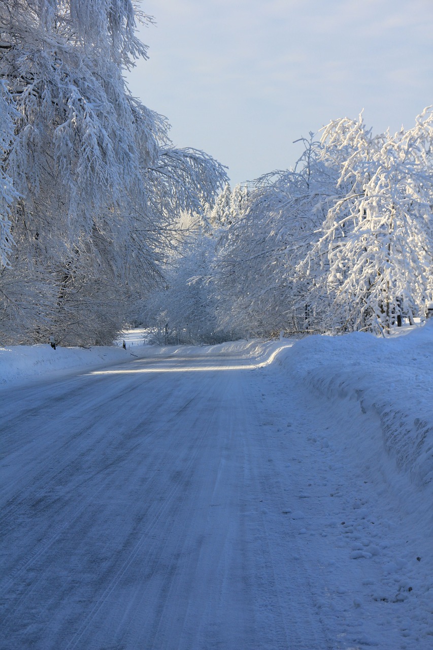 Kelias, Sniegas, Teutoburgo Miškas, Žiema, Balta, Mėlynas, Medis, Medžiai, Nemokamos Nuotraukos,  Nemokama Licenzija