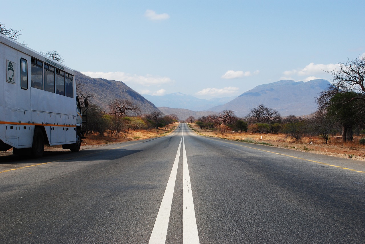 Kelias, Afrika, Safari, Tanzanija, Kraštovaizdis, Platus, Dykuma, Medžiai, Nemokamos Nuotraukos,  Nemokama Licenzija