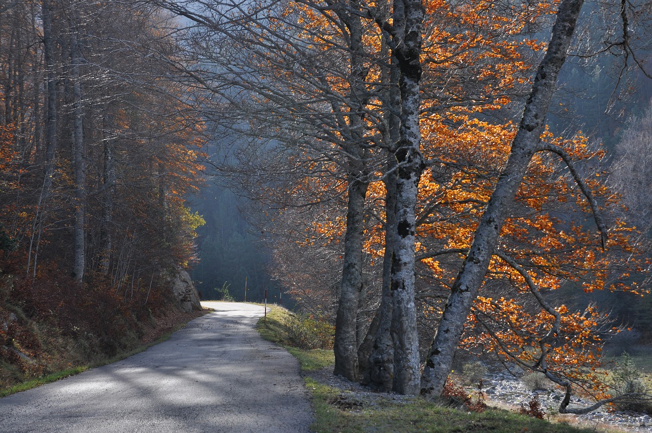 Kelias, Mažas Kalnas, Kritimas, Pyrénées, Ispanija, Huesca, Spalva, Nemokamos Nuotraukos,  Nemokama Licenzija