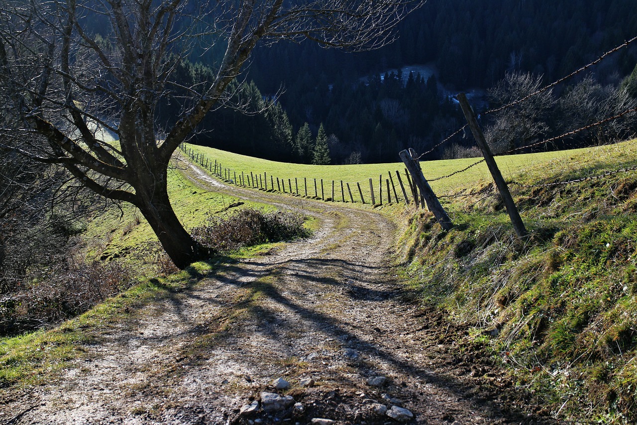 Kelias, Toli, Purvo Kelias, Juostos, Alpių Kelias, Pieva, Kalnų Takas, Valdymas, Gamtos Takas, Gamta