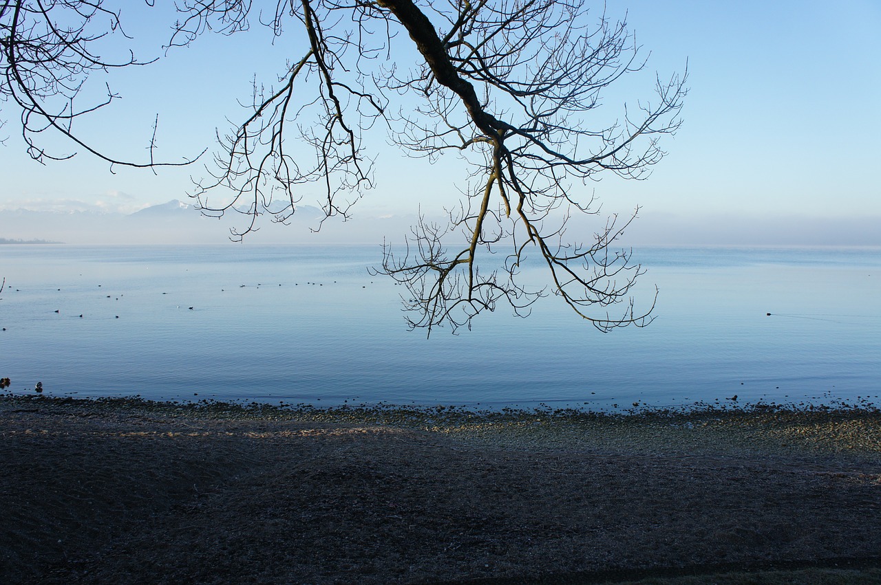 Filialas, Žiema, Šaltas, Medis, Atskirai, Kraštovaizdis, Chiemsee, Bavarija, Nuotaika, Ežeras