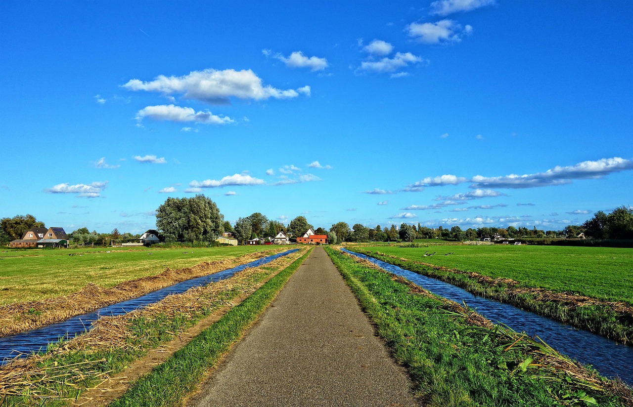 Kelias, Vandens Kelias, Horizontas, Laukas, Perspektyva, Konvergencijos Linijos, Vidutinio Dydžio, Amstelveen, Nyderlandai, Nemokamos Nuotraukos