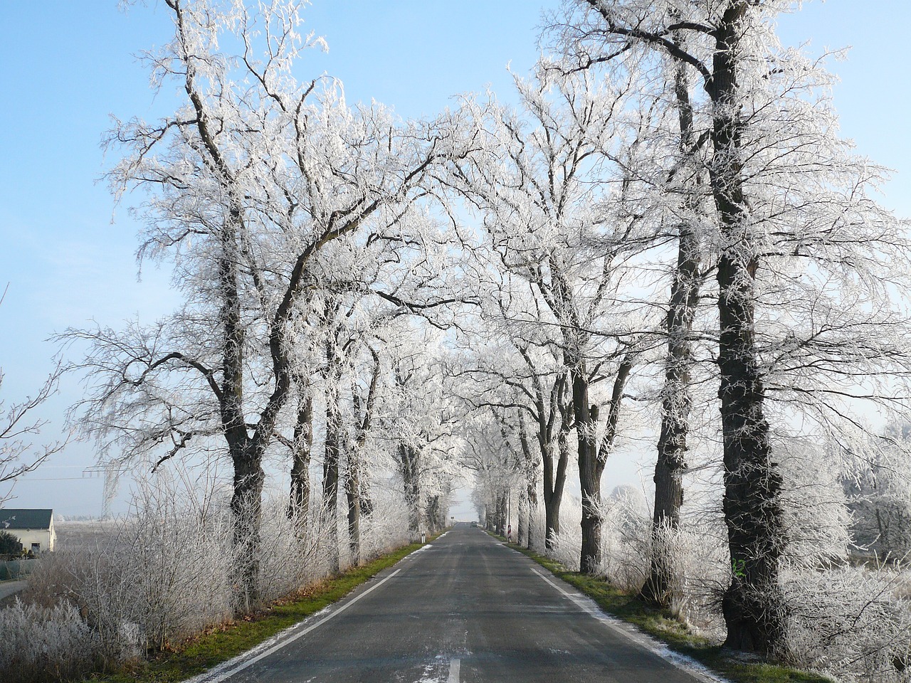 Kelias, Žiema, Sniegas, Žiemą, Gamta, Kraštovaizdis, Medžiai, Medžio Pamušalas, Toli, Brandenburg