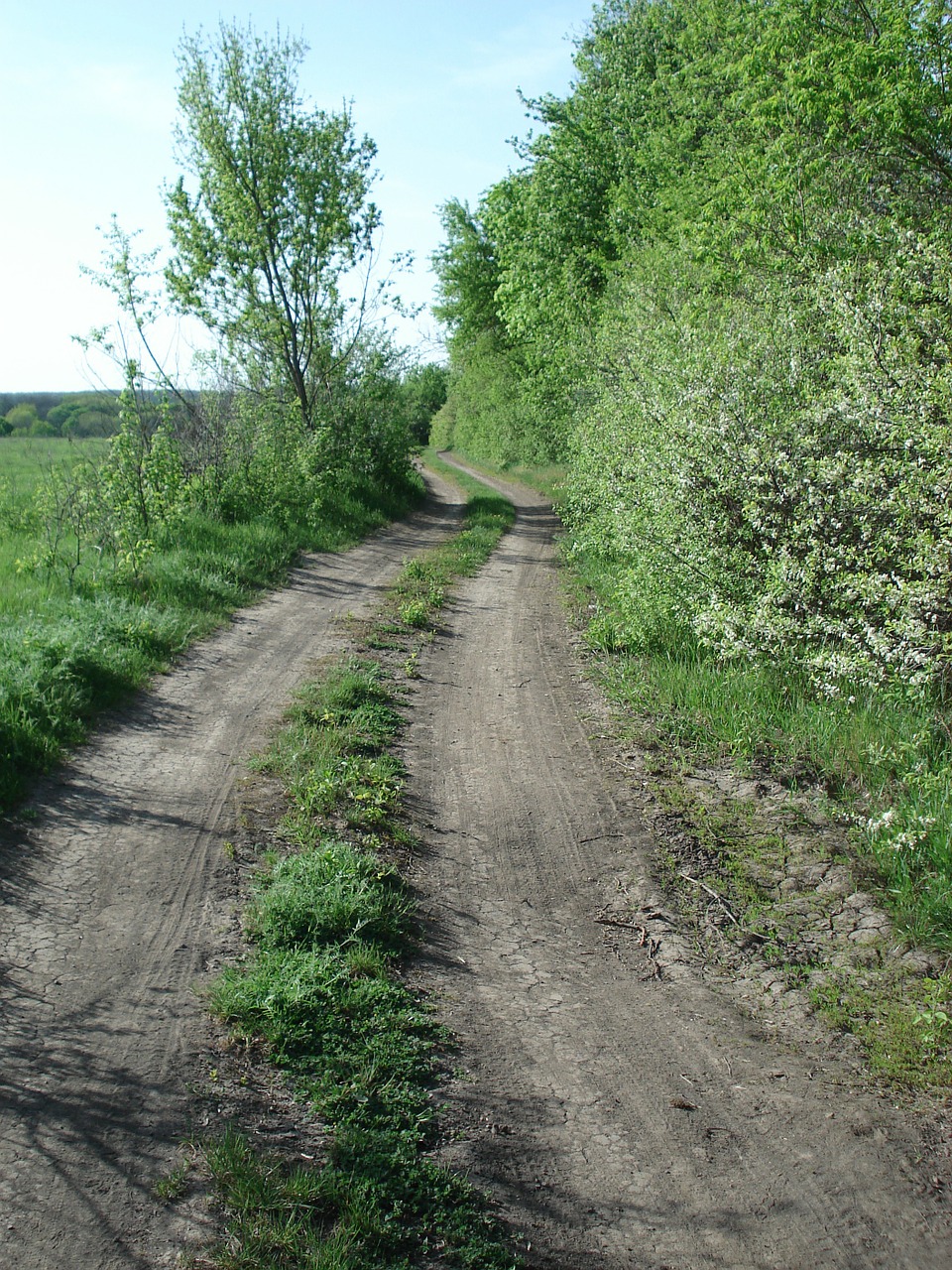 Kelias, Purvas, Backroad, Šalis, Kaimas, Lauko Kelias, Ūkio Kelias, Lauko Kelias, Šalies Juosta, Vasara