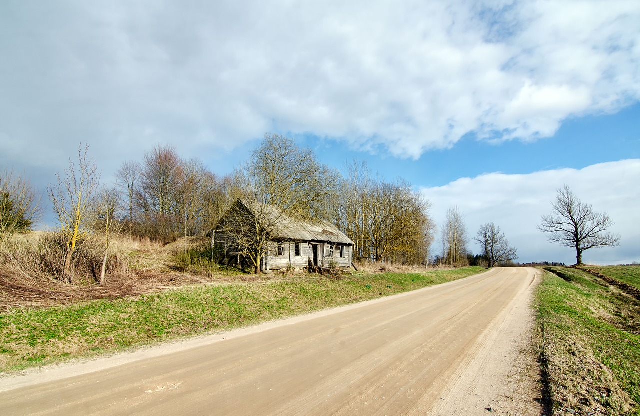 Kelių,  Pobūdį,  Žolė,  Medis,  Vadovavimas, Nemokamos Nuotraukos,  Nemokama Licenzija