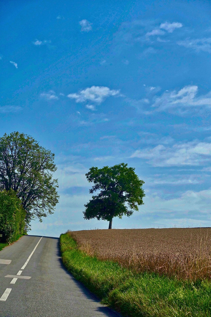 Kelių,  Perspektyva,  Medis,  Pasėlių,  Kraštovaizdis,  Highway,  Asfalto,  Kryptis,  Šalis, Nemokamos Nuotraukos