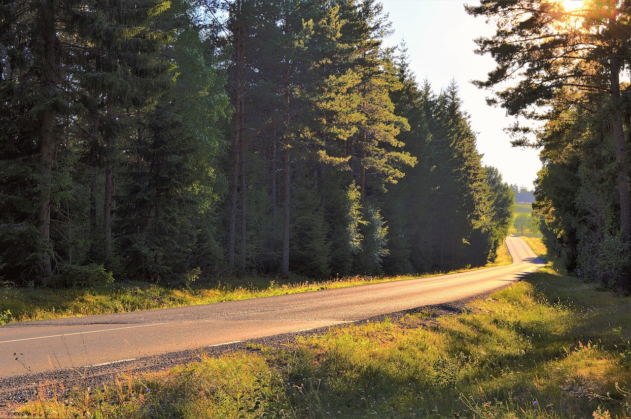 Kelių,  Vasara,  Saulėlydžio,  Medis,  Miškas,  Vageridas,  Žalias,  Žolė,  Lauko,  Peizažai