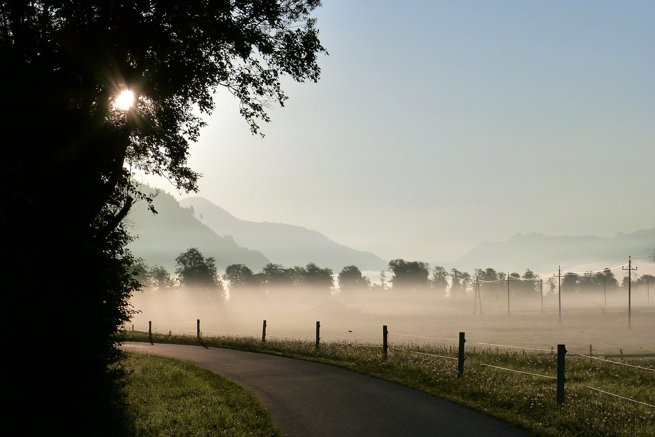 Kelias, Infrastruktūra, Rūkas, Migla, Tvora, Ganykla, Ganyklų Tvora, Morgenstimmung, Žemės Rūkas, Atgal Šviesa