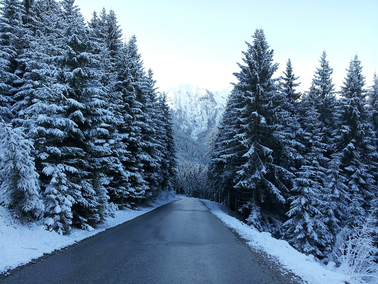 Kelias, Žiema, Sniegas, Žiemą, Balta, Šaltas, Medis, Žiemos Svajonė, Kalnai, Nemokamos Nuotraukos