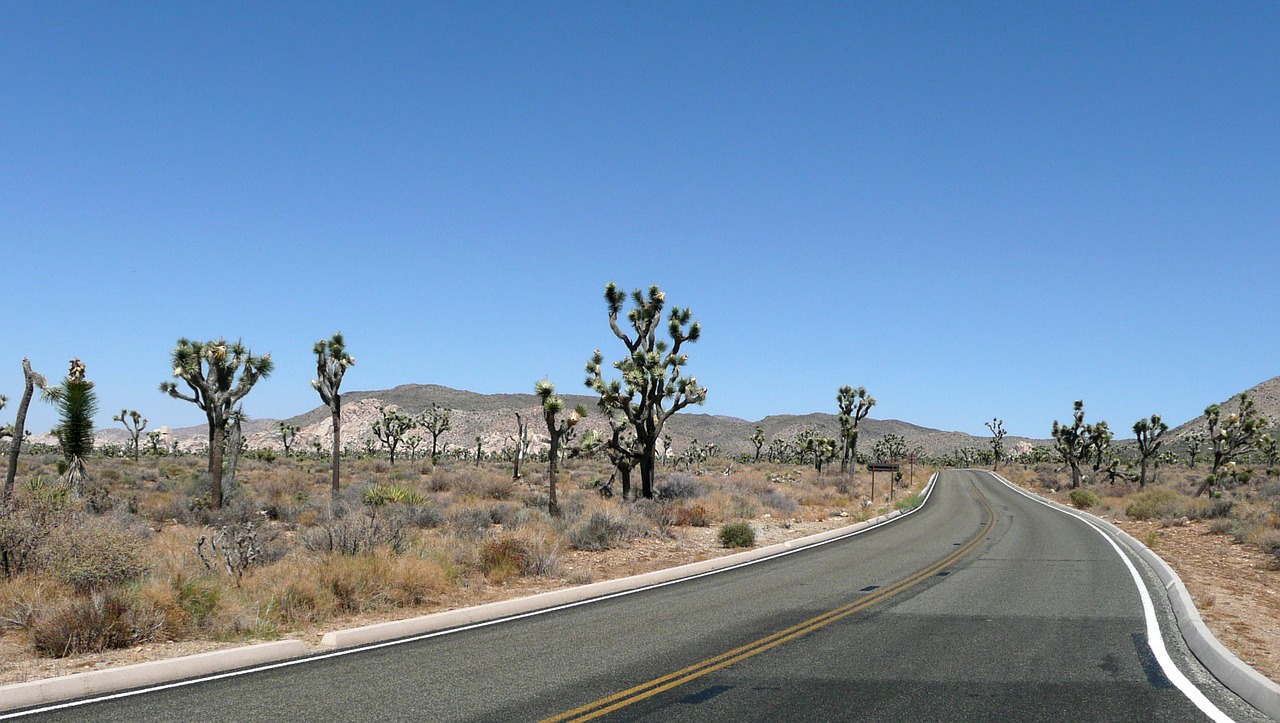 Kelias, Jeshua Medis, Joshua Medžio Nacionalinis Parkas, Dykuma, Smėlis, Dulkės, Sausas, Dykumos Kelias, Kalifornija, Usa