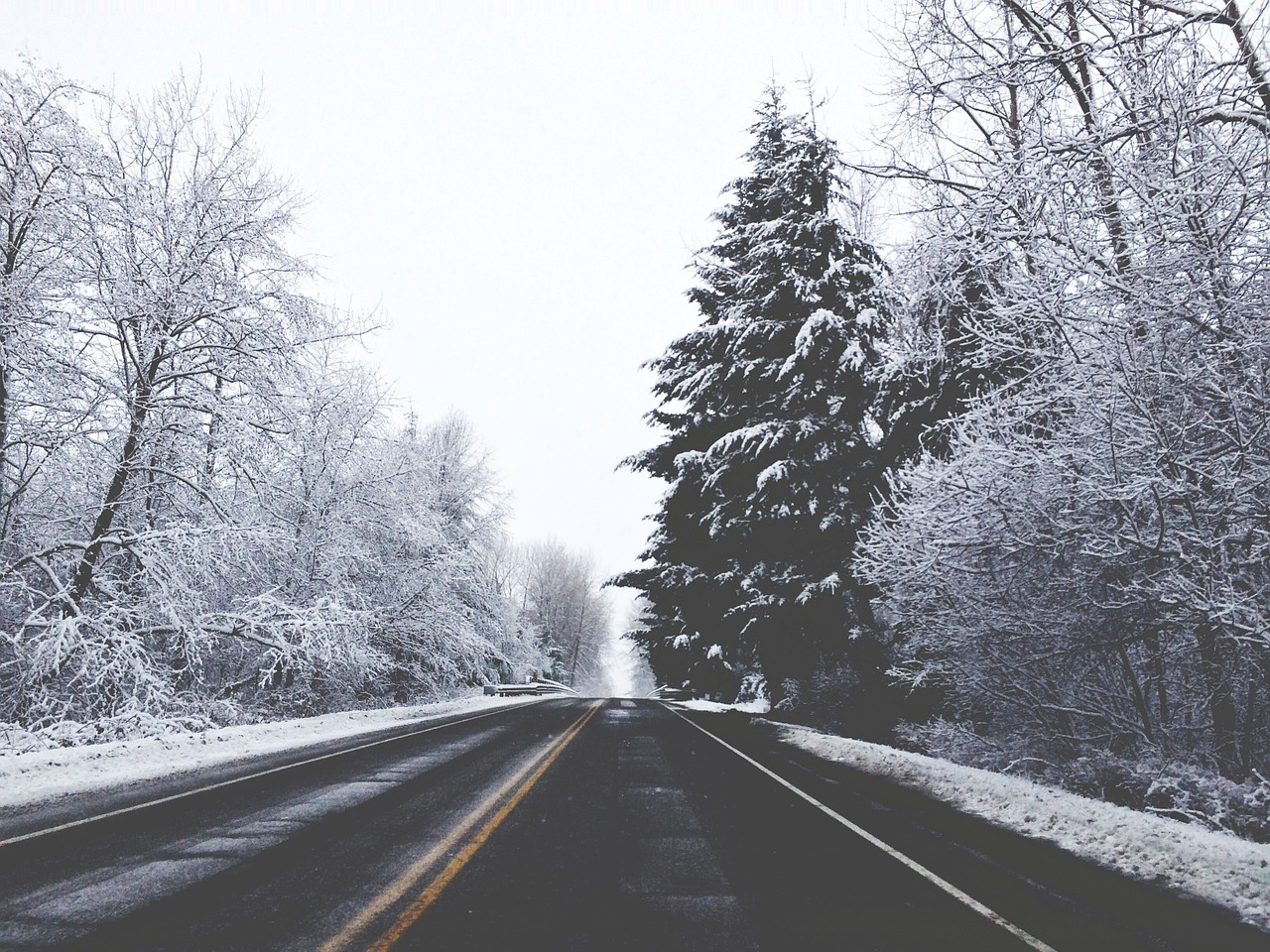 Kelias, Gatvė, Sniegas, Žiema, Medžiai, Miškas, Miškai, Kelias, Scena, Lauke