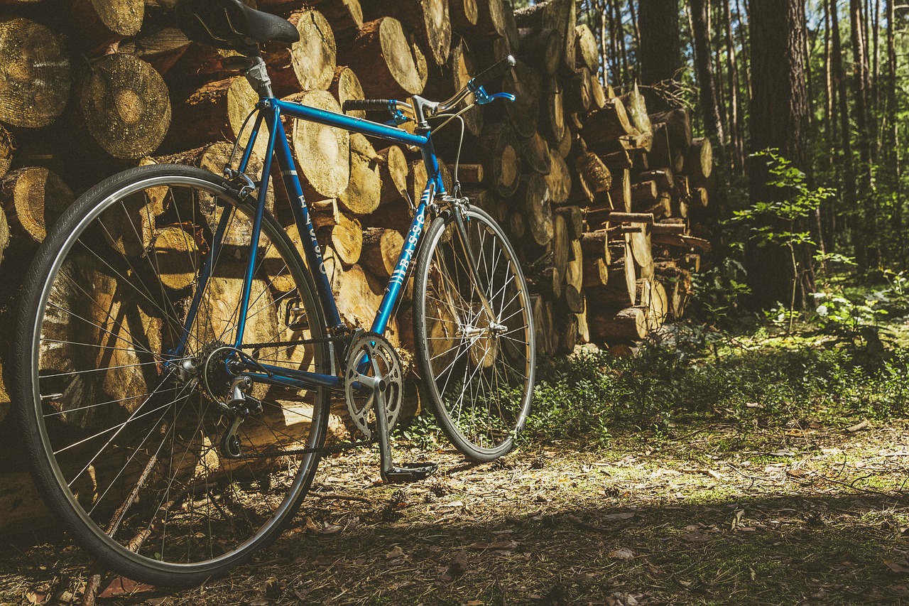 Kelių Dviratis, Vintage, Dviratis, Retro, Miesto, Tendencija, Ratas, Senas, Hipster, Grandinė