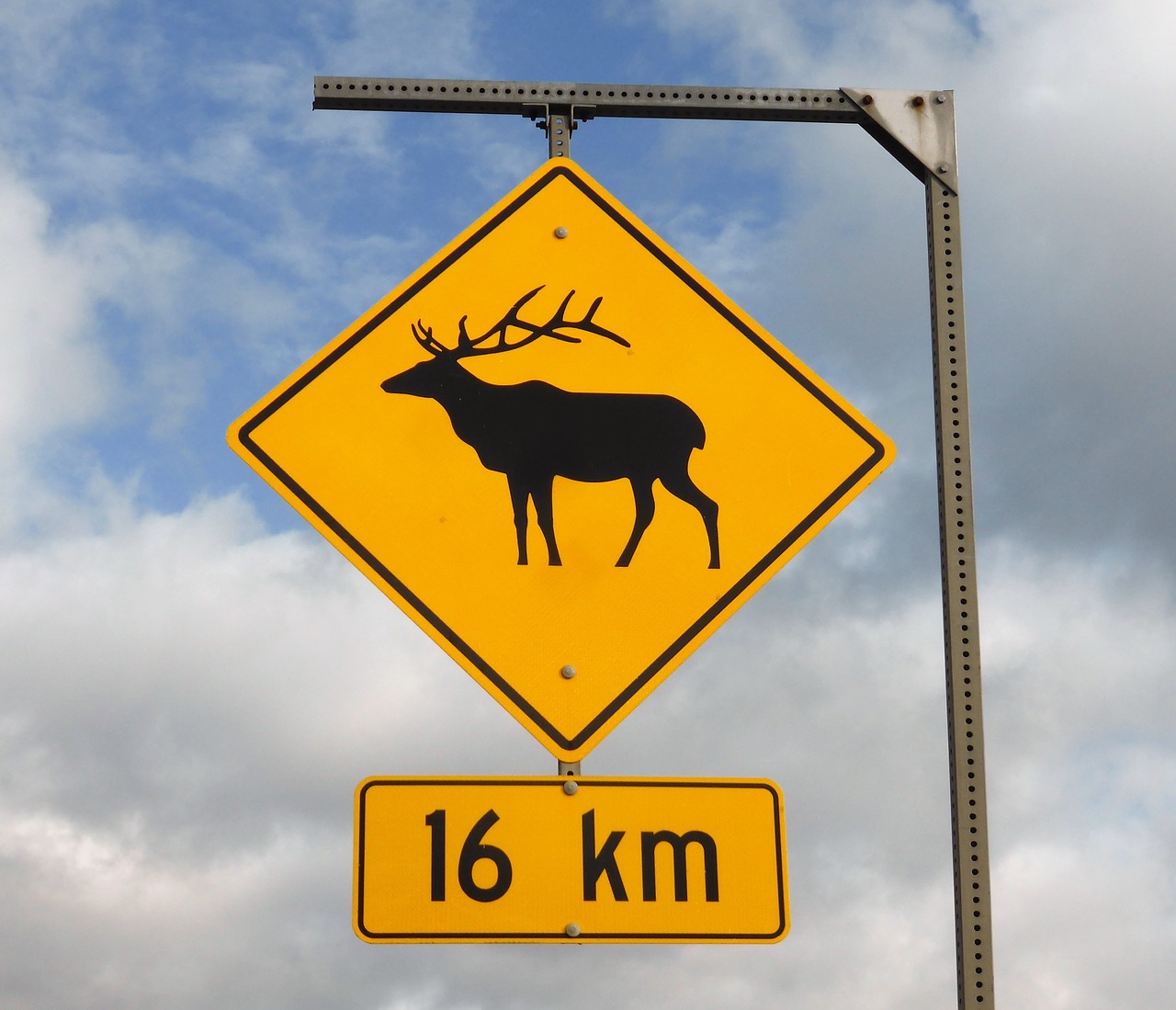 Kelio Ženklas, Laukiniai, Įspėjimas, Lėtesnis, Vaikščiojimas Laukiniais, Elnias, Antlers, Kanada, Nacionalinis Parkas, Turizmas