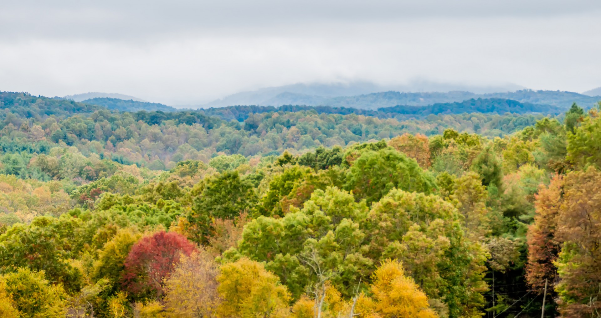 Roanoke,  Virginia,  Slėnis,  Kalnai,  Mėlynas,  Kraigas,  Parkway,  Į Pietus,  Miestas,  Miestas