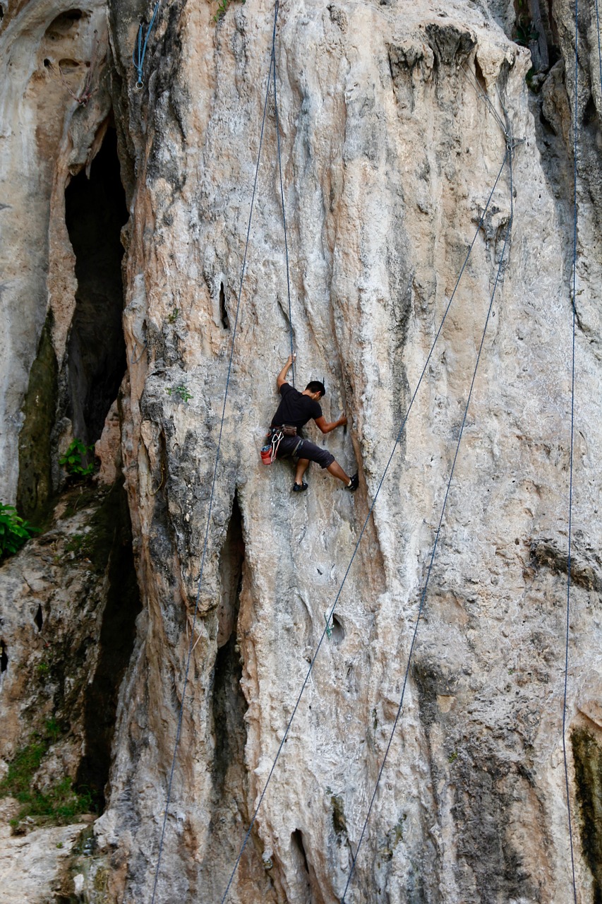 Rokas, Akmuo, Alpinistas, Lipti, Steinig, Spalva, Natūralūs Akmenys, Augalas, Smėlio Akmuo, Akmenys