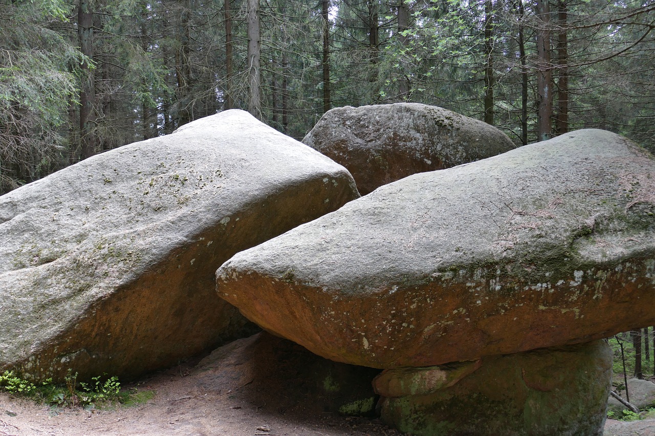 Rokas, Dreibrodesteinas, Oberharz, Miškas, Gamta, Idilija, Atsigavimas, Nemokamos Nuotraukos,  Nemokama Licenzija