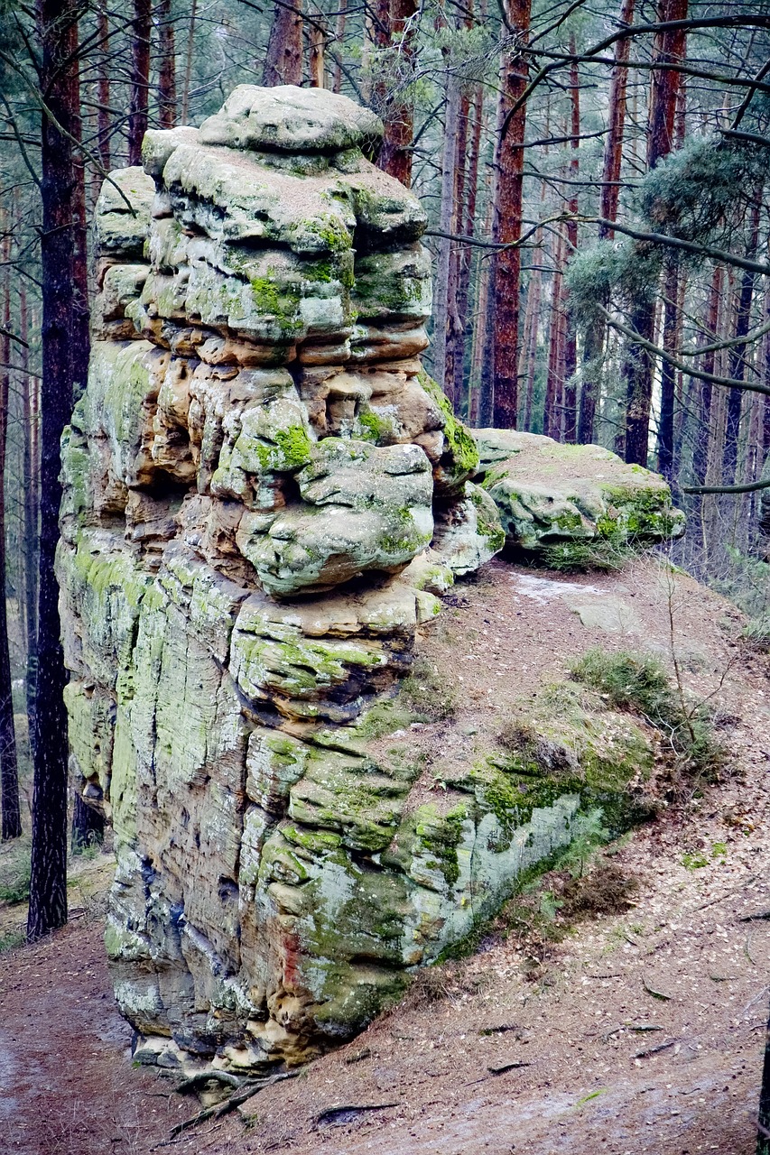 Rokas, Miškas, Akmenys, Gamta, Kraštovaizdis, Mistinis, Medžiai, Uolos, Smėlio Akmuo, Žygiai