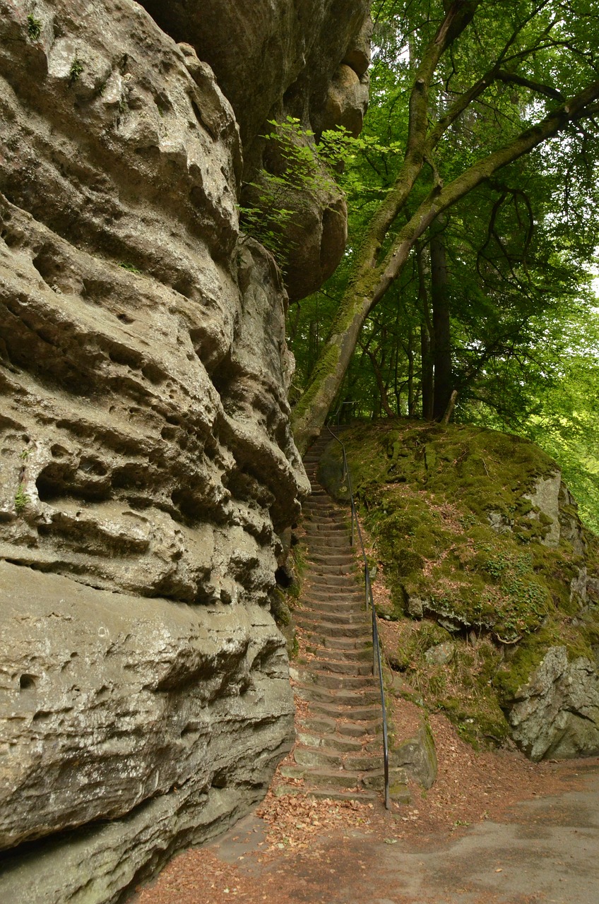 Rokas, Spąstus, Miškas, Tamsi, Aukštis, Žalias, Echternach, Liuksemburgas, Nemokamos Nuotraukos,  Nemokama Licenzija