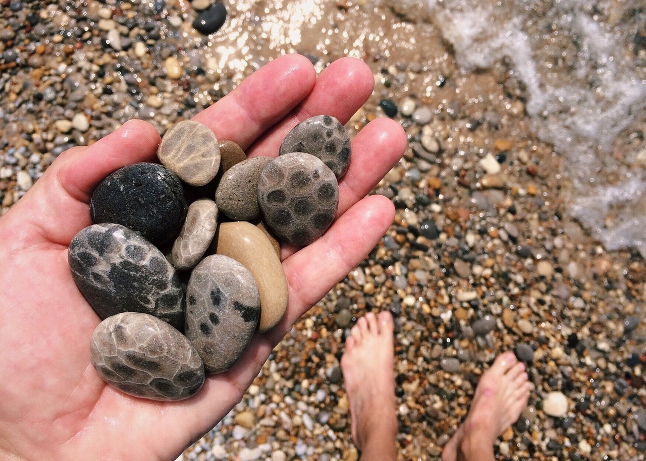 Rokas, Medžioklė, Papludimys, Akmenys, Petoskio Akmenys, Nemokamos Nuotraukos,  Nemokama Licenzija