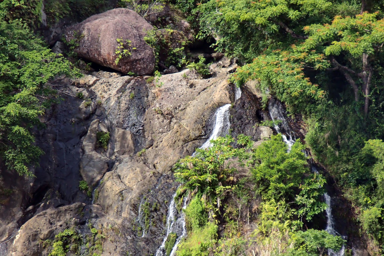 Rokas,  Vandens,  Falls,  Medžiai,  Augalų,  Lauko,  Pobūdį,  Natūralus,  Nemokama Iliustracijos, Nemokamos Nuotraukos