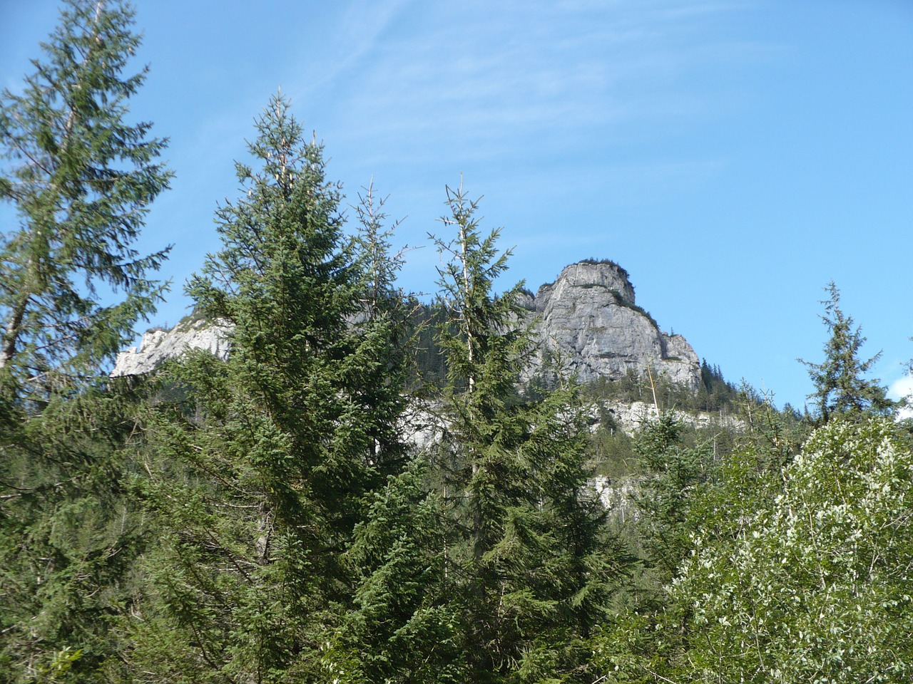 Rokas, Tatry, Kelionė, Kraštovaizdis, Kalnai, Viršuje, Lenkija, Dangus, Medis, Žygiai