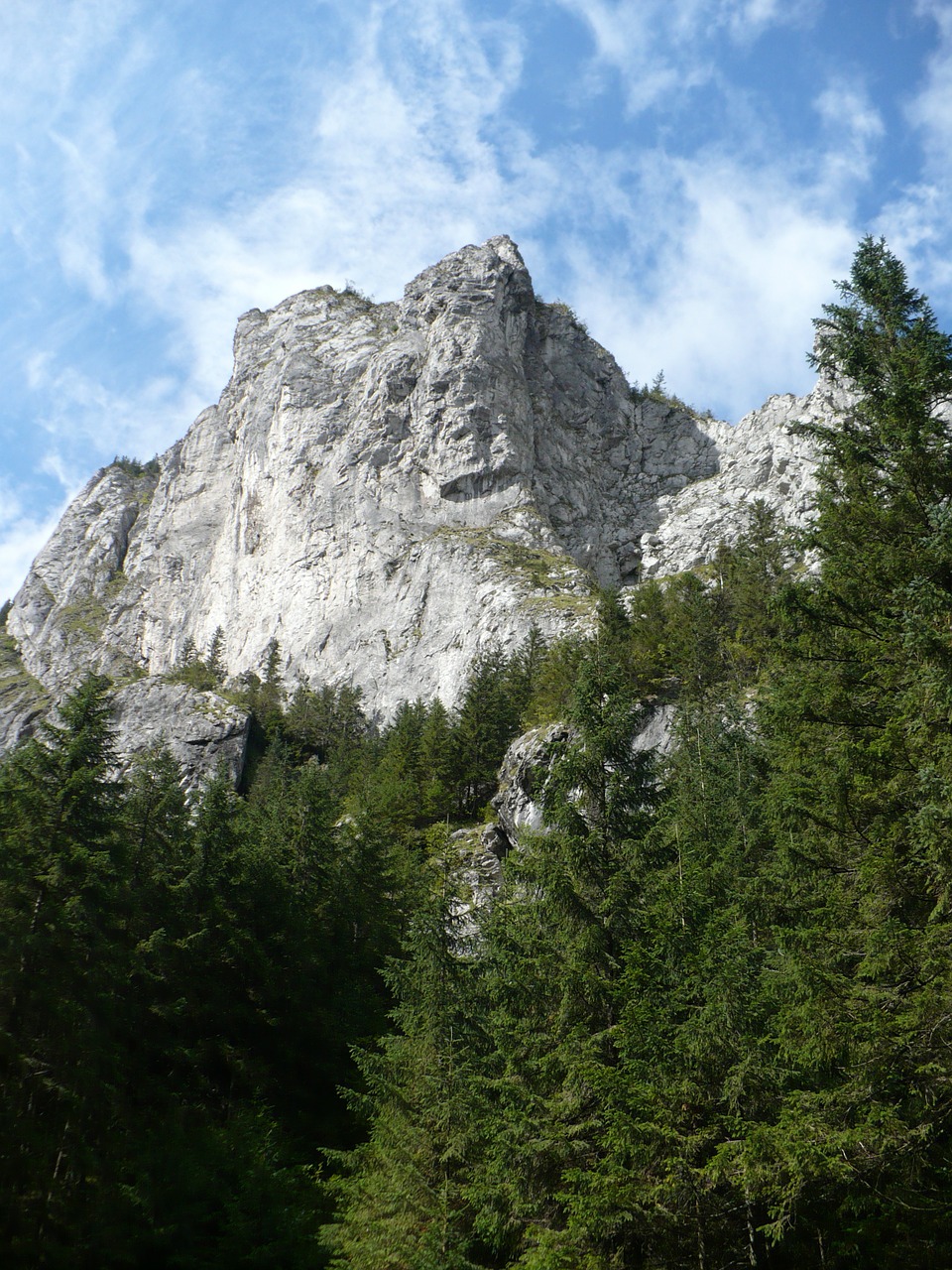 Rokas, Kalnas, Tatry, Slėnis, Kraštovaizdis, Viršuje, Medis, Miškas, Nemokamos Nuotraukos,  Nemokama Licenzija