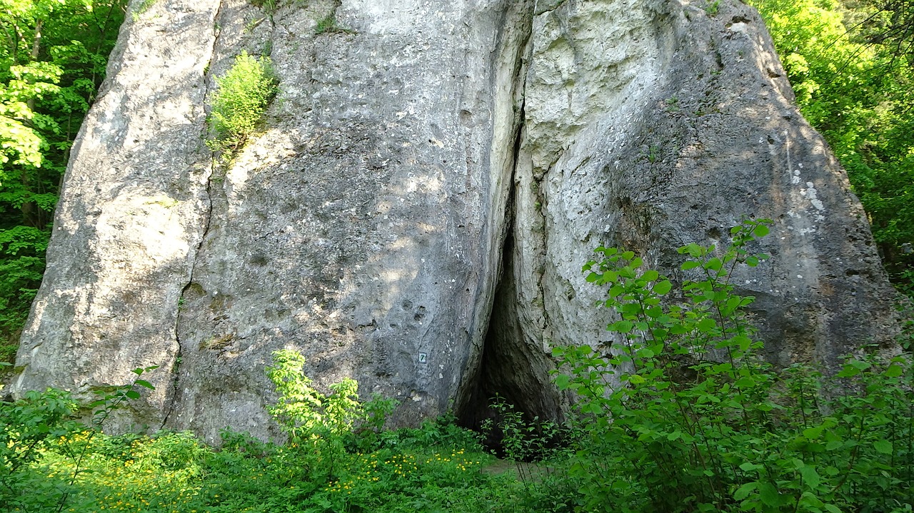 Akmenys, Gamta, Kraštovaizdis, Lenkija, Turizmas, Kalkakmeniai, Žalias, Jura Krakowsko Częstochowa, Nemokamos Nuotraukos,  Nemokama Licenzija