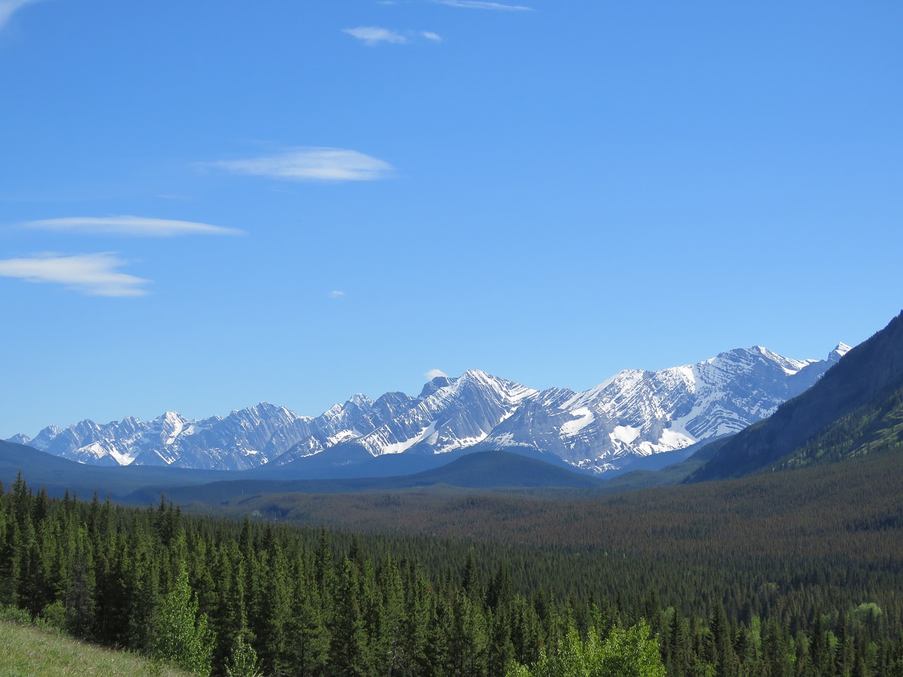 Uolėti Kalnai, Kananaskis, Alberta, Kanada, Uolingas, Gamta, Miškas, Kraštovaizdis, Kalnai, Lauke