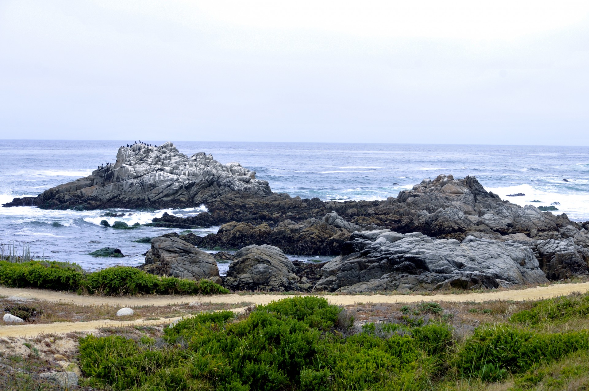 Pajūris,  Kranto Linija,  Vandenynas,  Papludimys,  Akmenys,  Uolingas,  Asilomar,  Kalifornija,  Monterey & Nbsp,  Pusiasalis