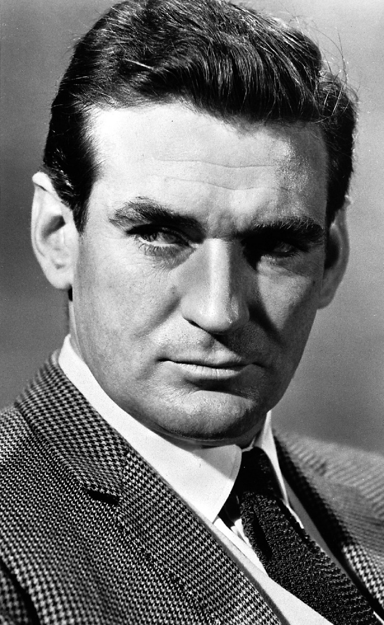 Rod Taylor, Aktorius, Klasikinis, Kino Filmai, Filmai, Vintage, Garsenybė, Holivudas, Vienspalvis, Juoda Ir Balta