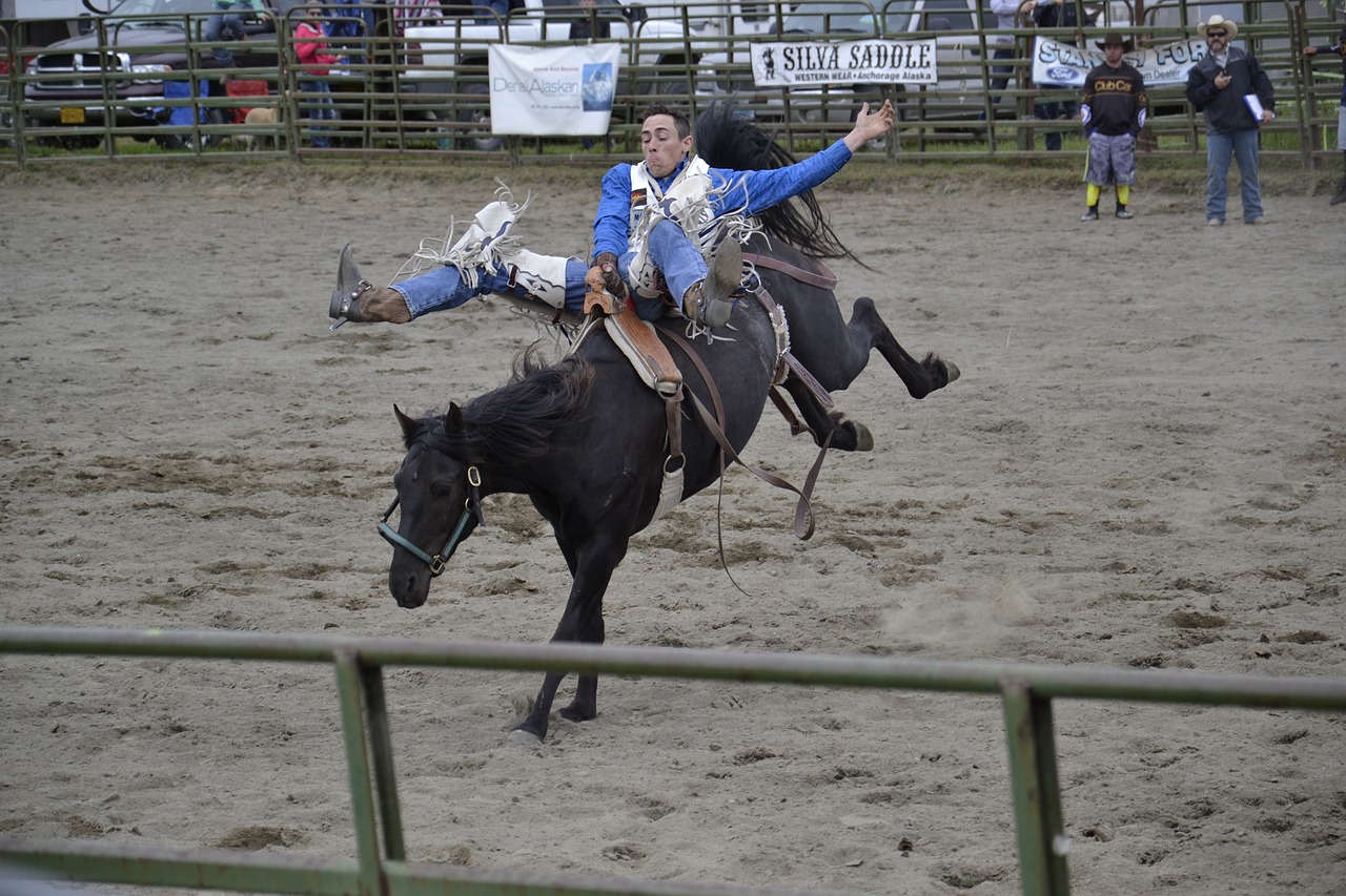 Rodeo, Arklys, Alaska, Kaubojus, Jodinėjimas, Gyvūnas, Arena, Greitai, Lynai, Bucking