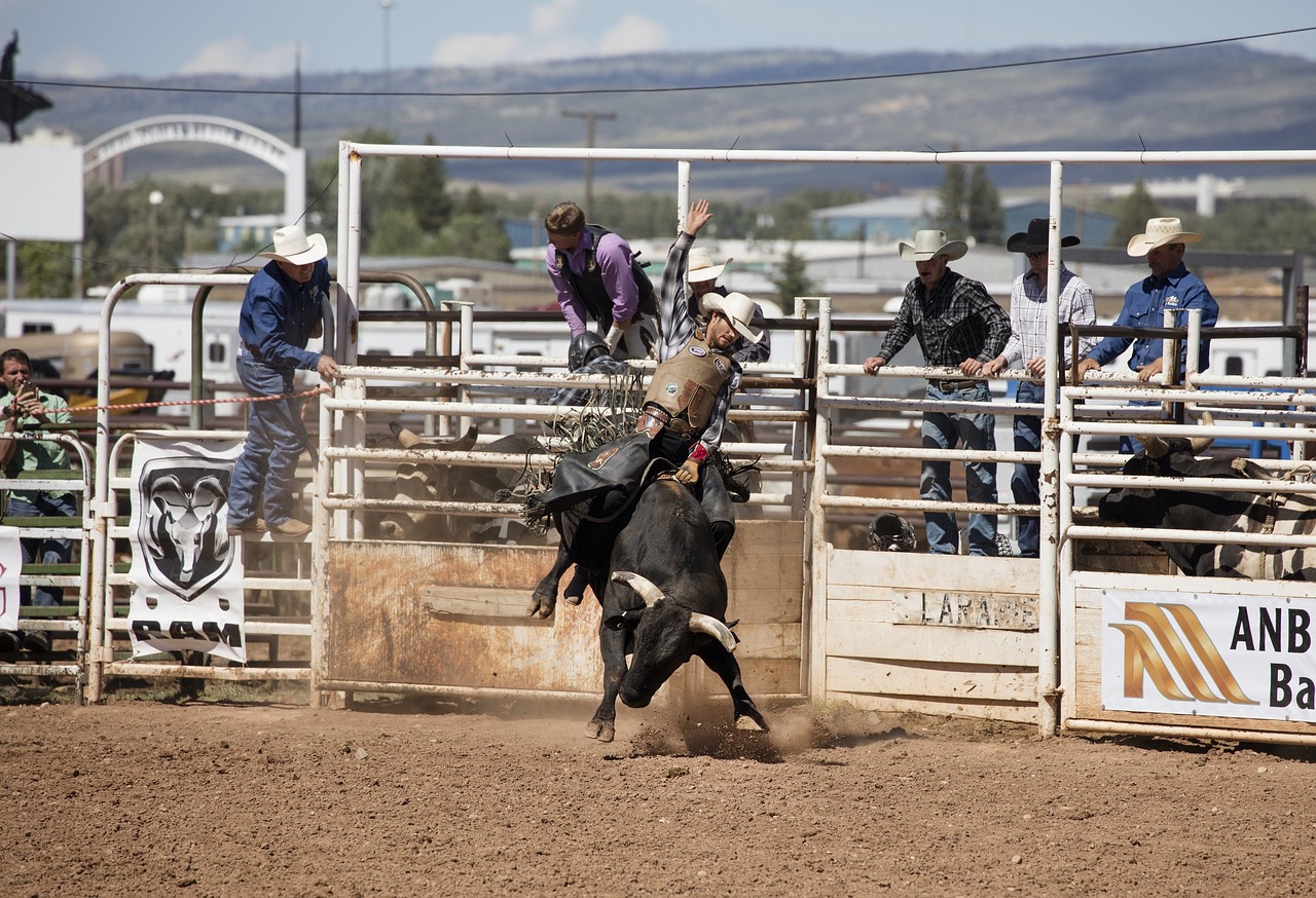 Rodeo, Kaubojus, Bulius, Jodinėjimas, Vakaruose, Arena, Varzybos, Piktograma, Sportas, Gyvūnas