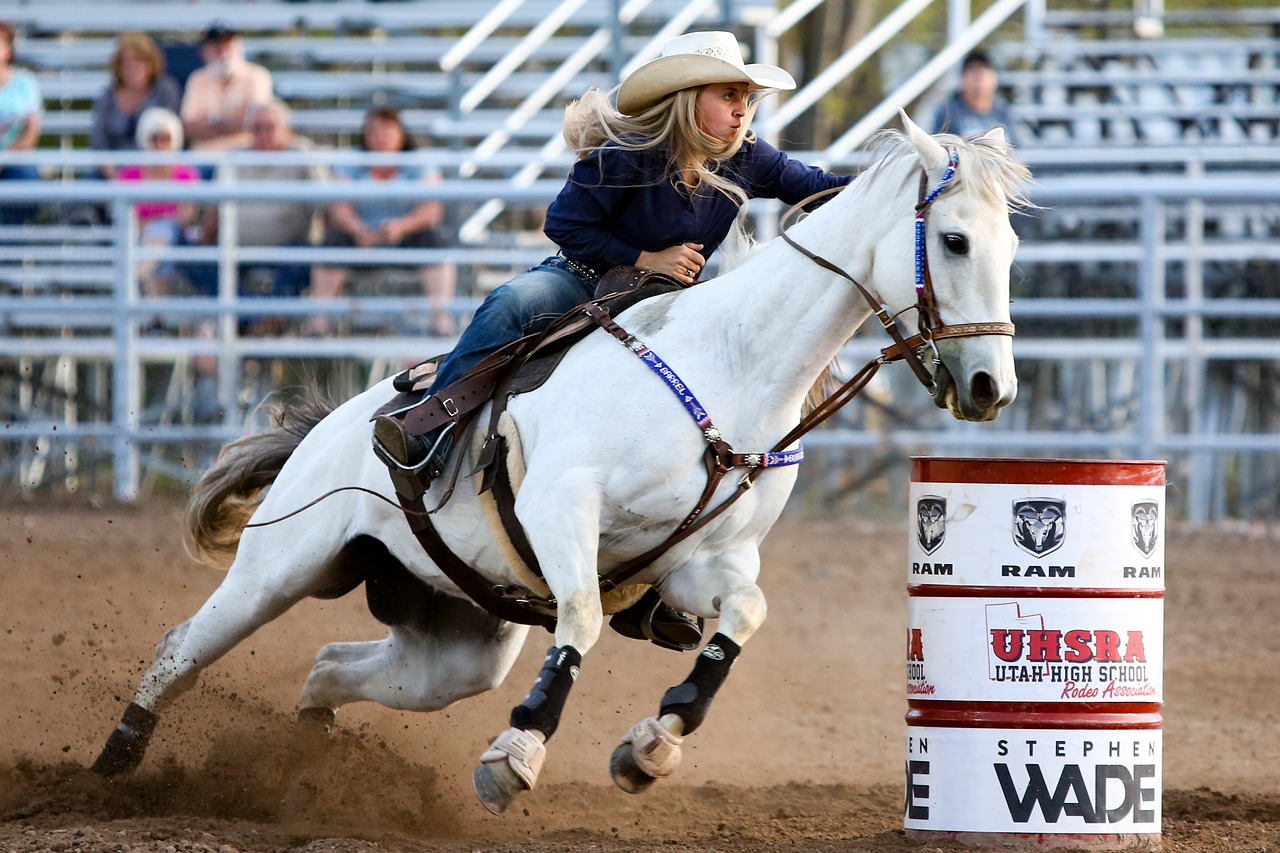 Rodeo,  Arklys,  Barelį,  Vakarų,  Gyvūnas,  Bendrai,  Cowgirl,  Risčia,  Greitis,  Moteris