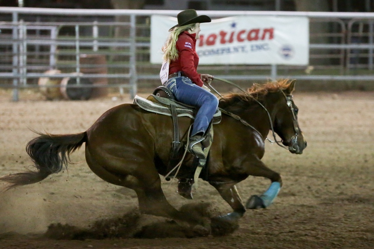 Rodeo,  Arklys,  Barelį,  Vakarų,  Gyvūnas,  Bendrai,  Cowgirl,  Risčia,  Greitis,  Moteris