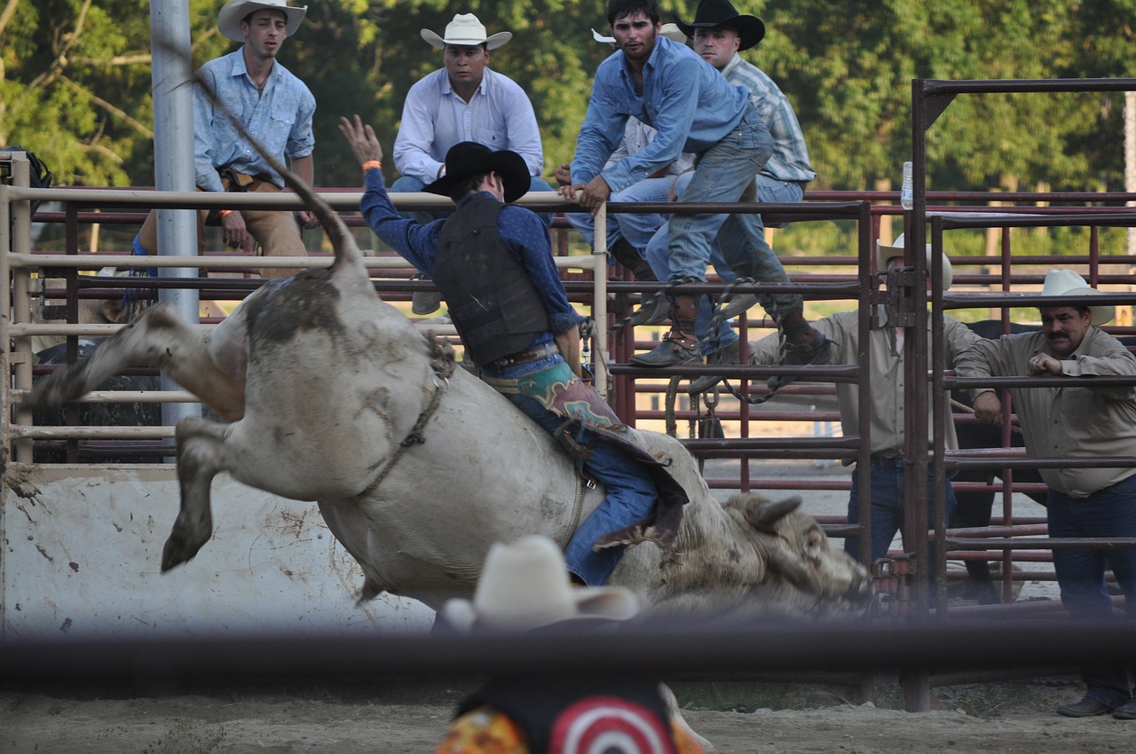 Rodeo, Ranča, Bucking, Kaubojus, Vakarų, Texas, Lynai, Jodinėjimas, Jodinėjimas, Veisimas