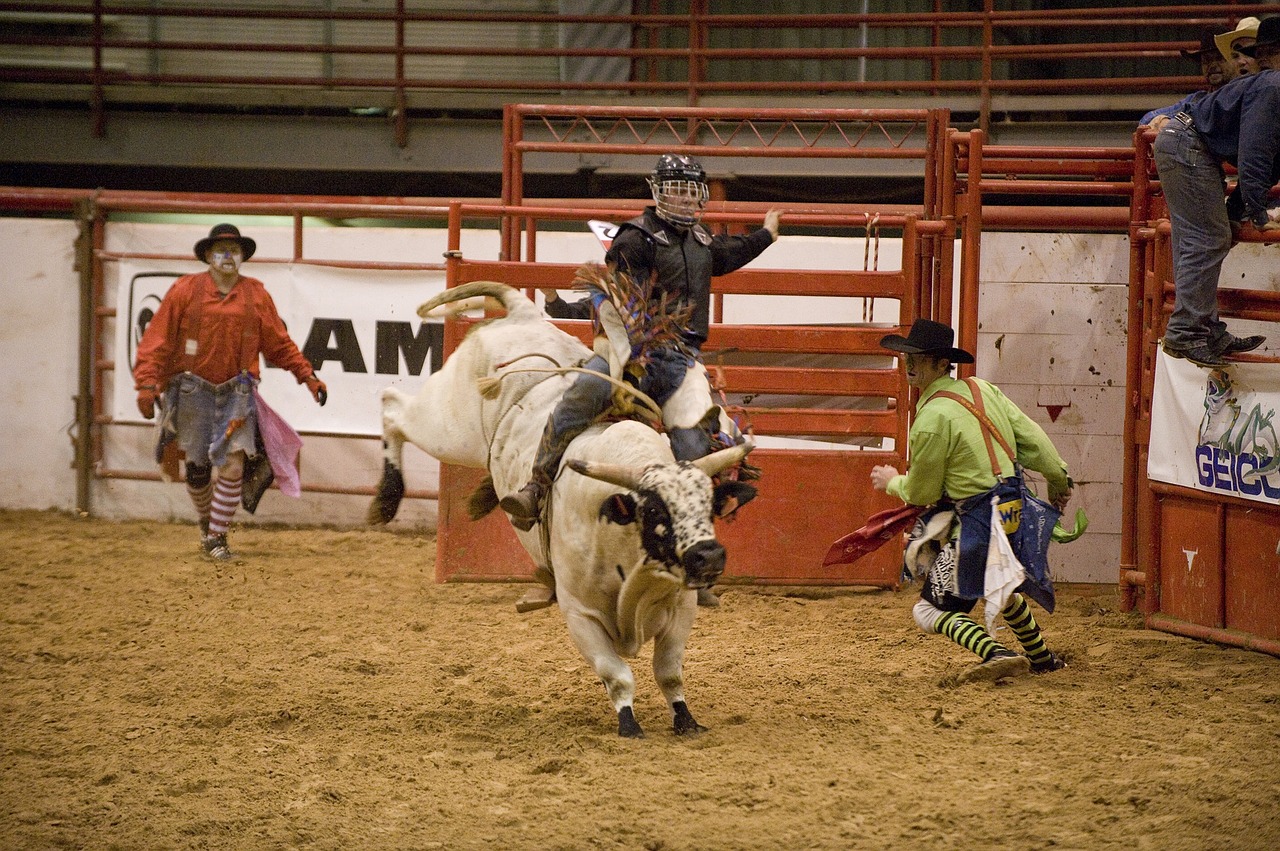 Rodeo, Kaubojus, Bulius, Jodinėjimas, Vakaruose, Arena, Varzybos, Piktograma, Sportas, Gyvūnas