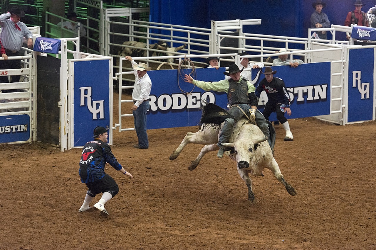 Rodeo,  Kaubojus,  Bulius,  Jodinėjimas,  Vakaruose,  Arena,  Varzybos,  Piktograma,  Sportas,  Gyvūnas