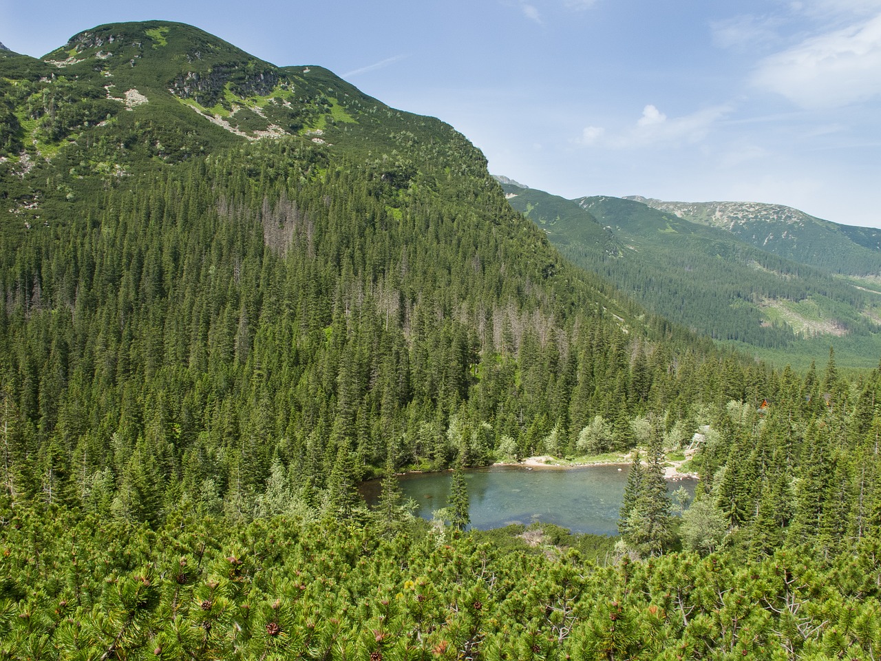 Roháče,  Šalis,  Pleso,  Medžiai,  Vasara,  Žalias,  Dangus, Nemokamos Nuotraukos,  Nemokama Licenzija