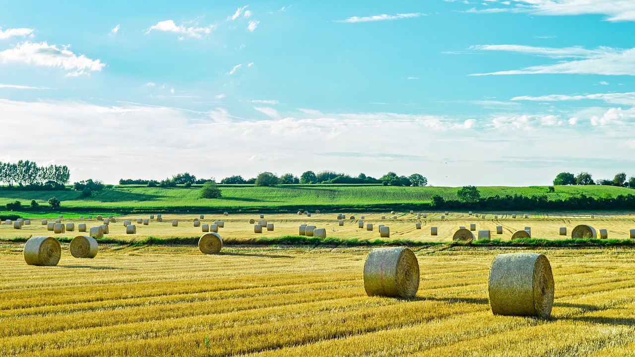 Šiaudų Ritiniai, Laukas, Šiaudai, Kraštovaizdis, Kaimas, Nemokamos Nuotraukos,  Nemokama Licenzija