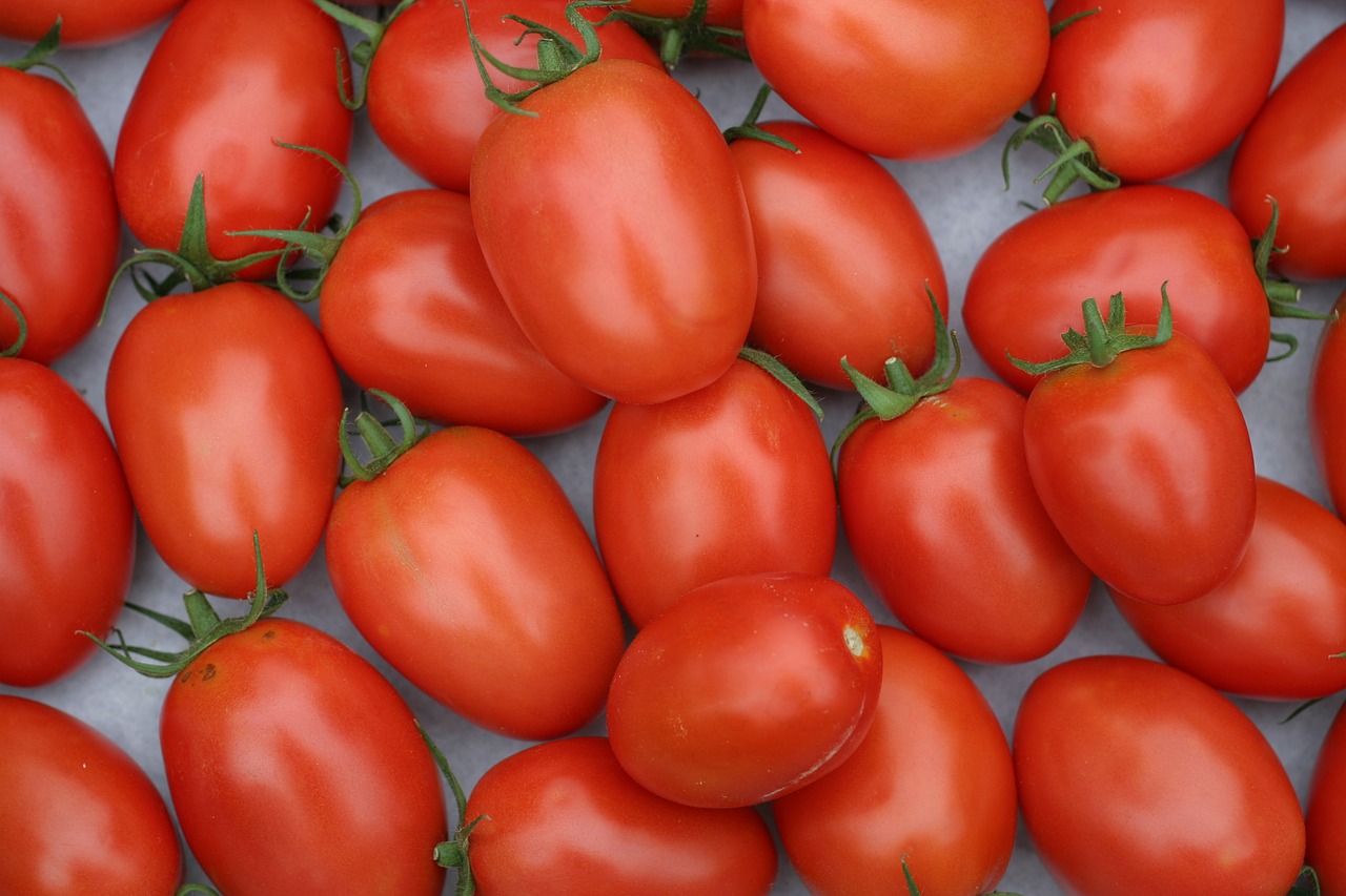 Romų Pomidorai, Pomidorai, Salotos, Frisch, Sveikas, Roma, Pomidorų Vaisiai, Daržovių Auginimas, Daržovės, Raudona
